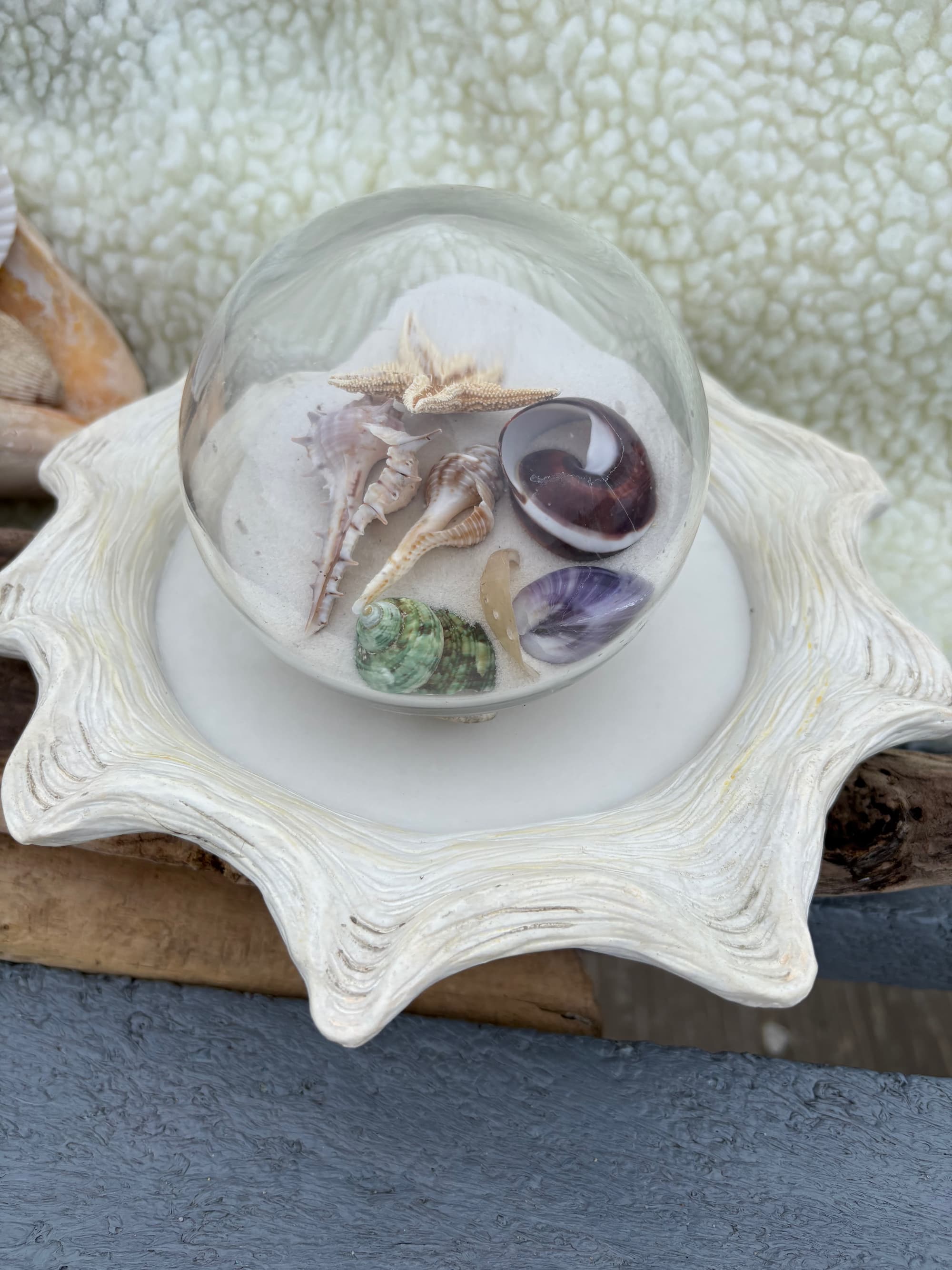 Coastal Sand And Seashell Globe