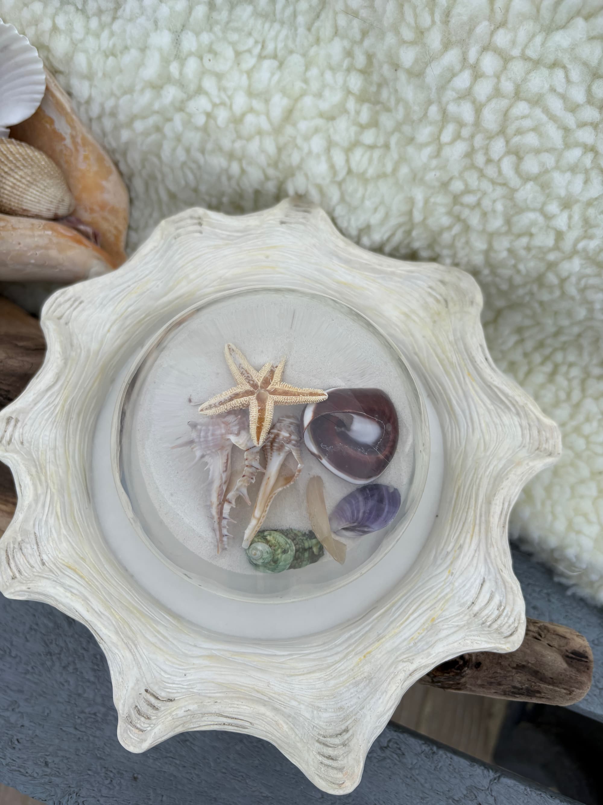 Coastal Sand And Seashell Globe